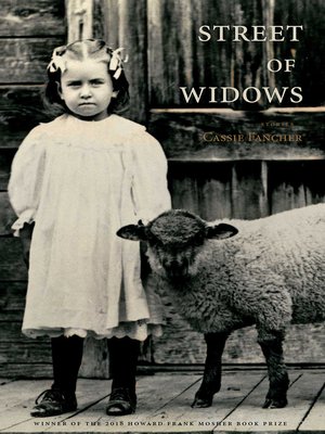 cover image of Street of Widows